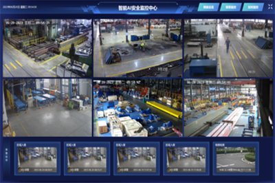 特色黨建品牌展播 | 人工智能黨支部 數(shù)智引領(lǐng) 共創(chuàng)未來 安全系統(tǒng)監(jiān)控服務(wù)